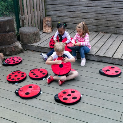 Back to Nature Sensory Ladybird Counting Cushions