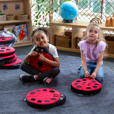 Back to Nature Sensory Ladybird Counting Cushions