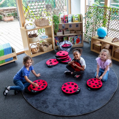 Back to Nature Sensory Ladybird Counting Cushions