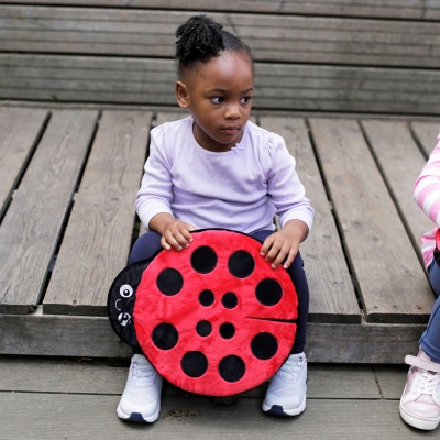 Back to Nature Sensory Ladybird Counting Cushions