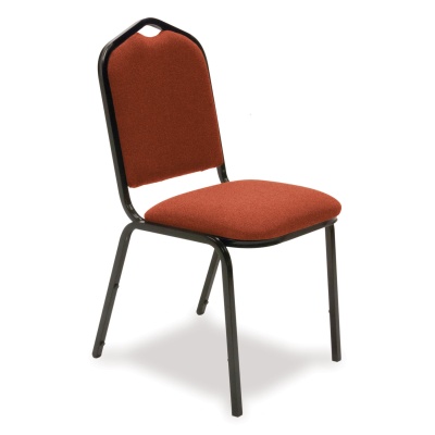 Advanced RMI-DO Conference Chair