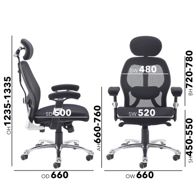 Sandro Mesh Back Executive Chair with Air Mesh Seat & Head Rest