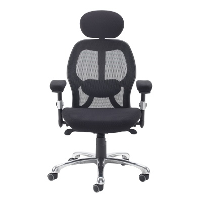 Sandro Mesh Back Executive Chair with Air Mesh Seat & Head Rest